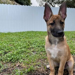 Meet your Posher, Robert